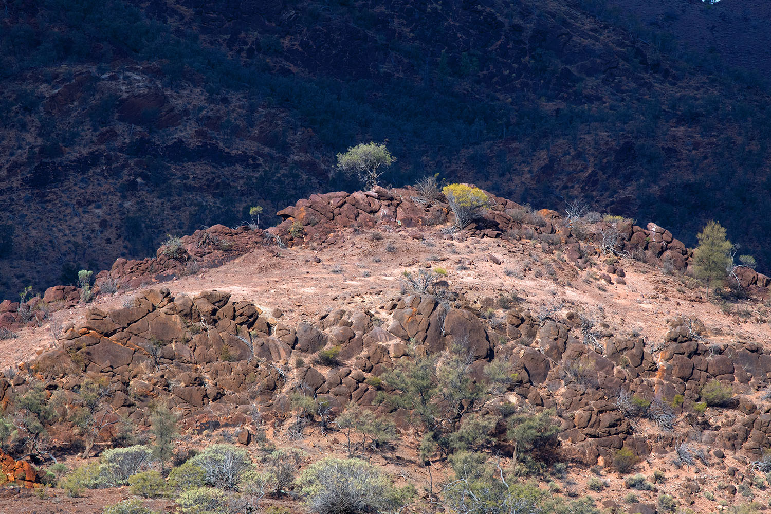 Rob Love, Photographer. Photo selection from Flinders Ranges, South Australia